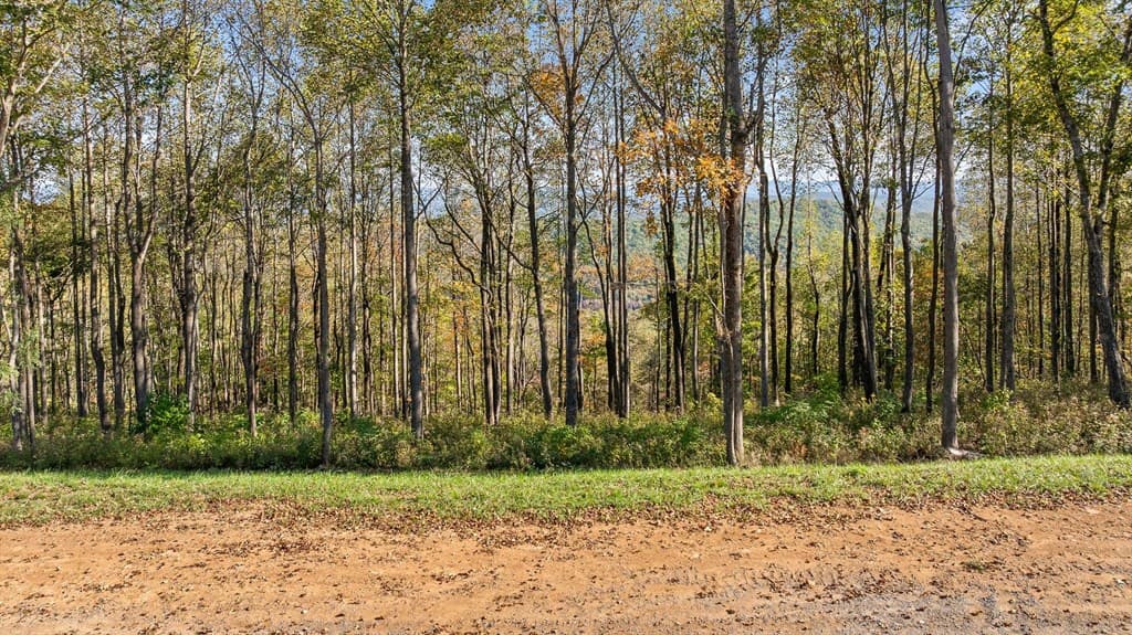 Lot 375 Calloway Mountain Road, Talking Rock GA 30175 - Photo