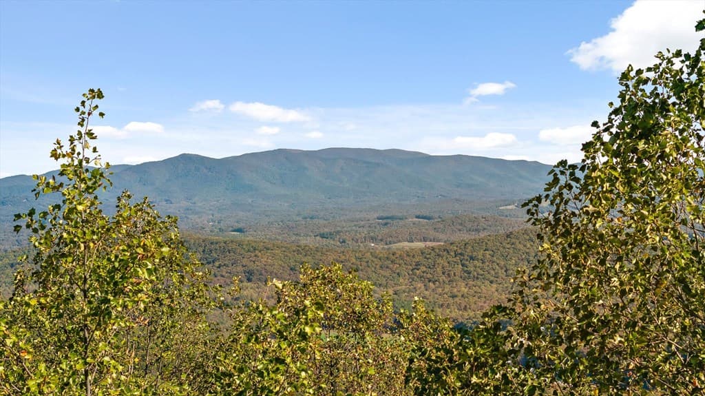 Lot 375 Calloway Mountain Road, Talking Rock GA 30175 - Photo