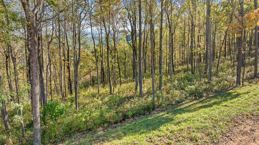 Lot 375 Calloway Mountain Road, Talking Rock GA 30175 - Photo