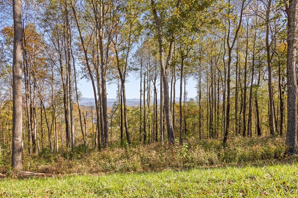 Lot 375 Calloway Mountain Road, Talking Rock GA 30175 - Photo