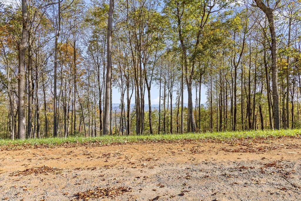 Lot 375 Calloway Mountain Road, Talking Rock GA 30175 - Photo