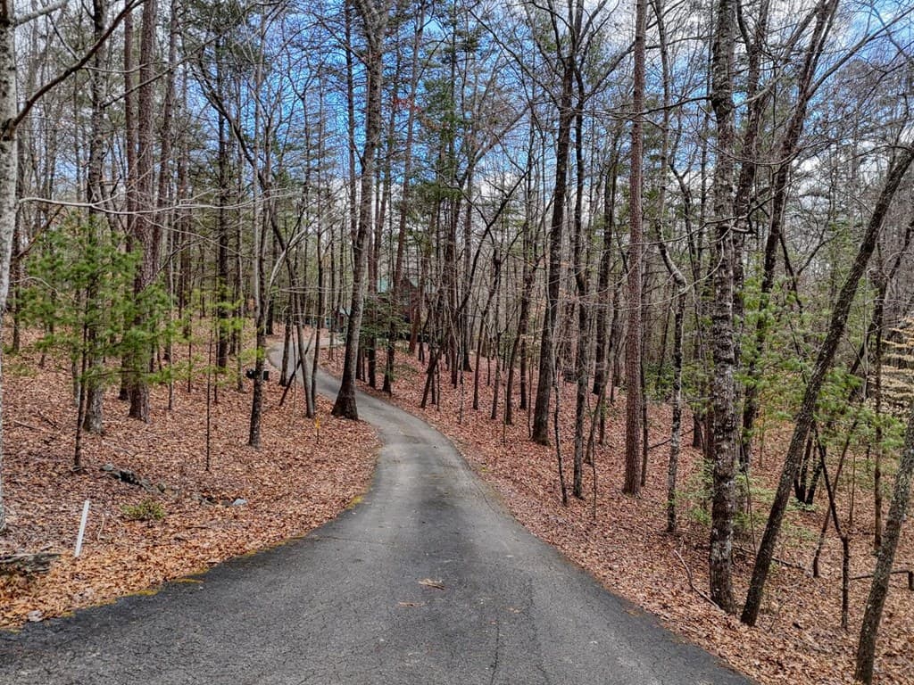 180 Shepherds Ridge Road, Morganton GA 30560 - Photo