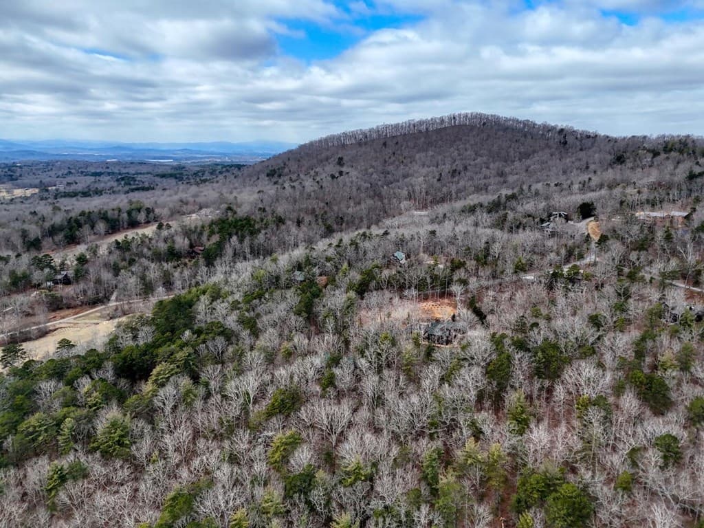 180 Shepherds Ridge Road, Morganton GA 30560 - Photo