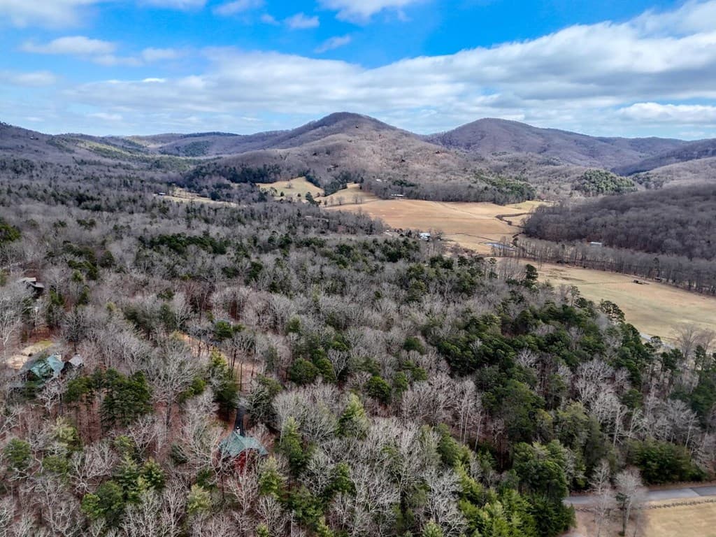 180 Shepherds Ridge Road, Morganton GA 30560 - Photo