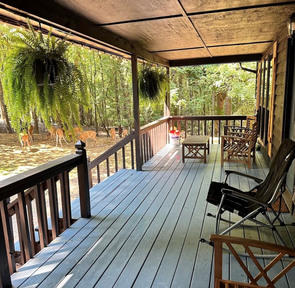 1704 Newport Drive, Ellijay GA 30540 - Photo