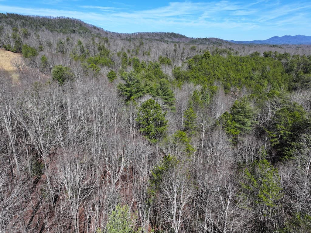 0 Meredith Drive, Turtletown TN 37391 - Photo