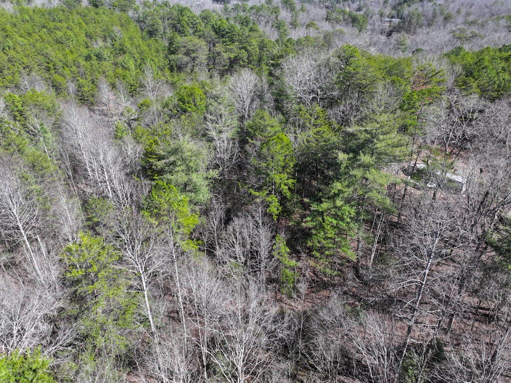 0 Meredith Drive, Turtletown TN 37391 - Photo