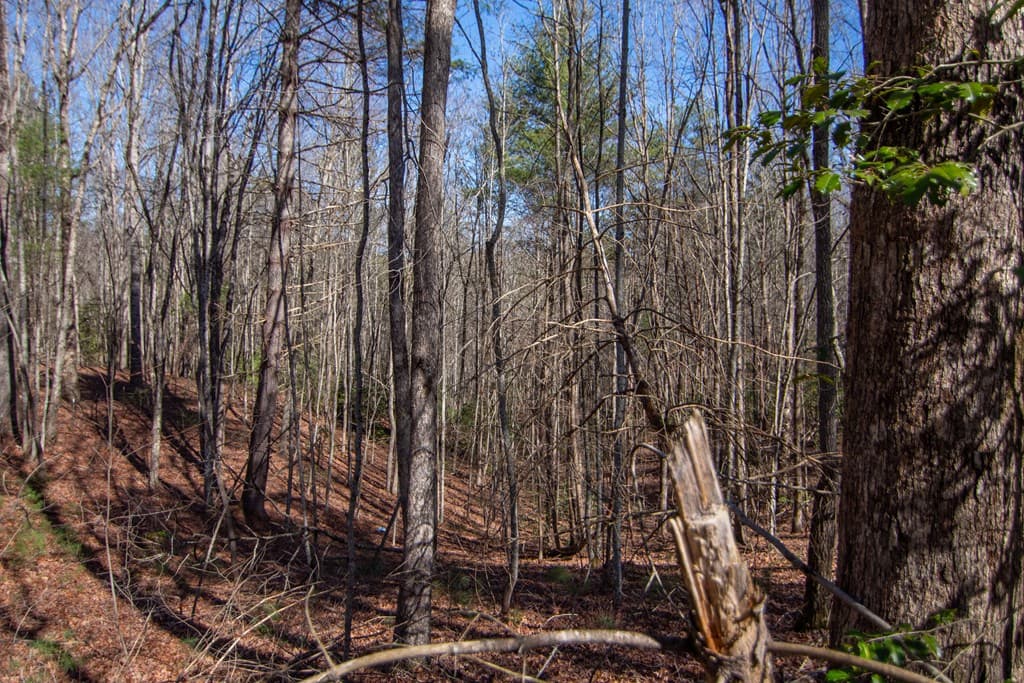 0 Meredith Drive, Turtletown TN 37391 - Photo