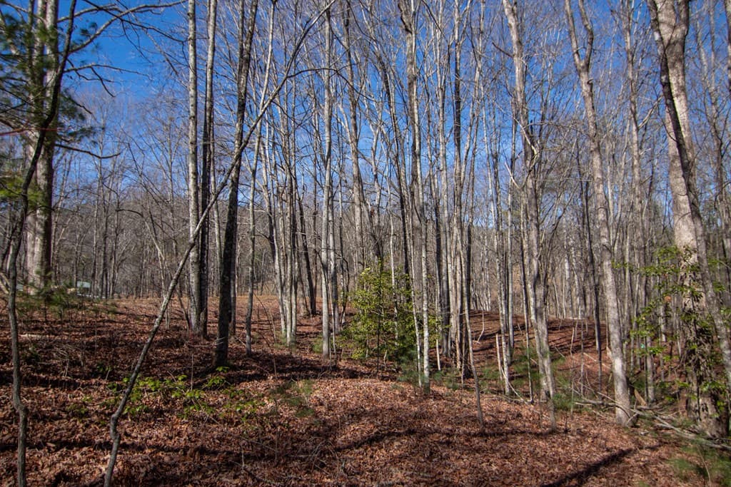 0 Meredith Drive, Turtletown TN 37391 - Photo