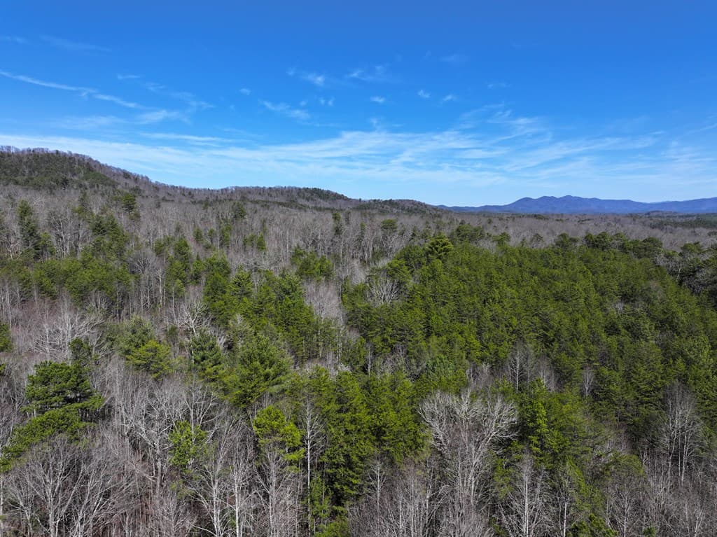 0 Meredith Drive, Turtletown TN 37391 - Photo