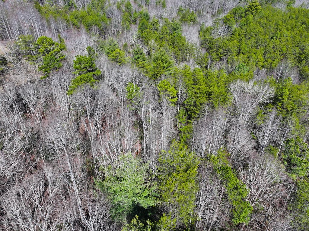 0 Meredith Drive, Turtletown TN 37391 - Photo
