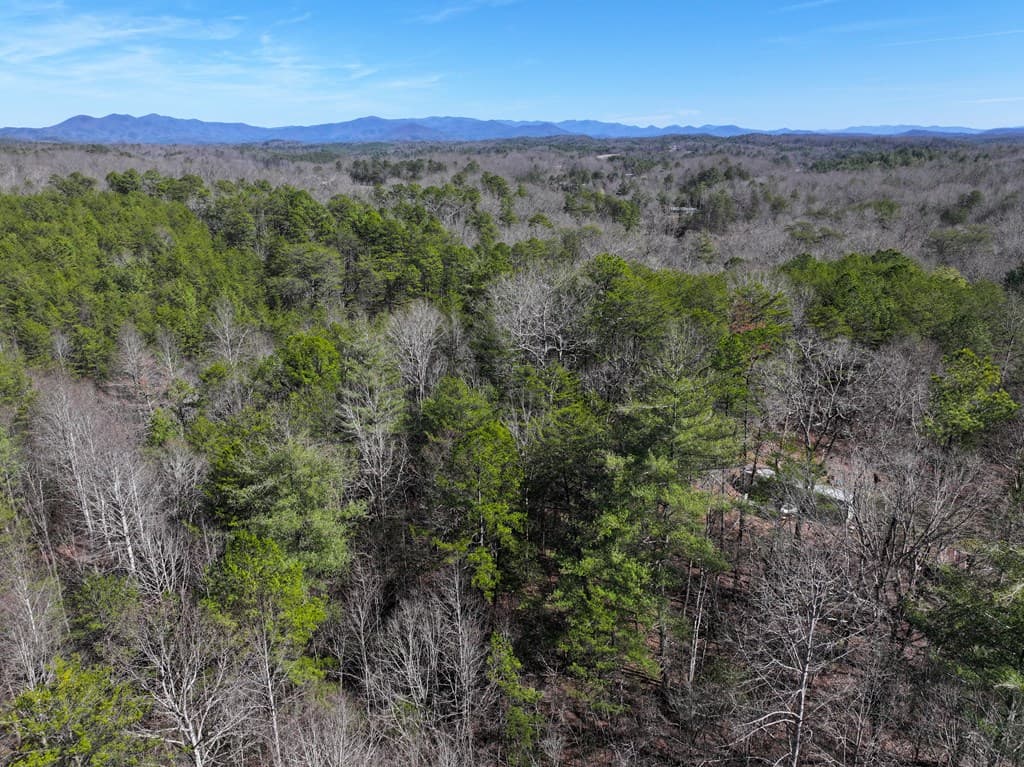 0 Meredith Drive, Turtletown TN 37391 - Photo