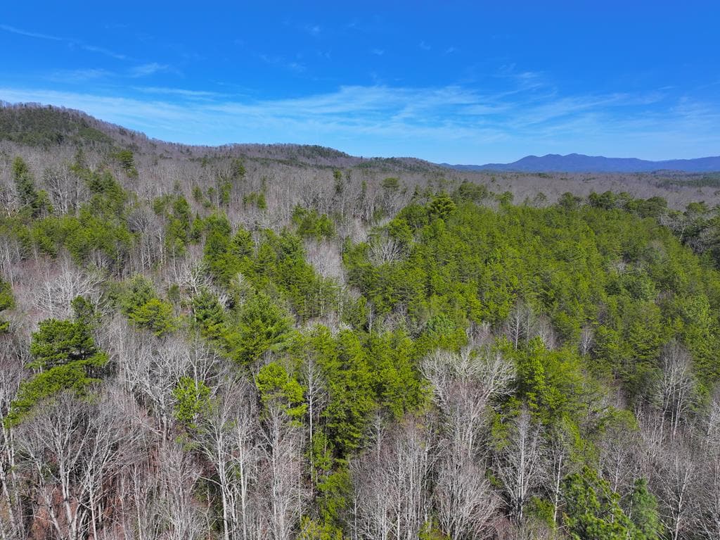 0 Meredith Drive, Turtletown TN 37391 - Primary photo