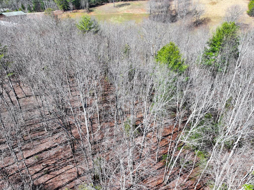 0 Meredith Drive, Turtletown TN 37391 - Photo