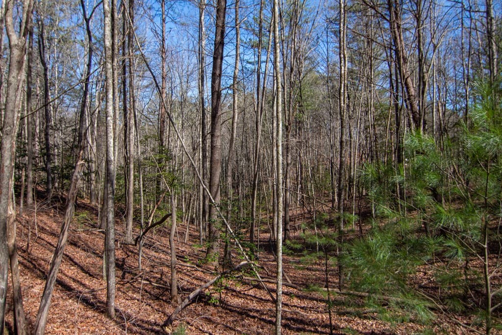 0 Meredith Drive, Turtletown TN 37391 - Photo