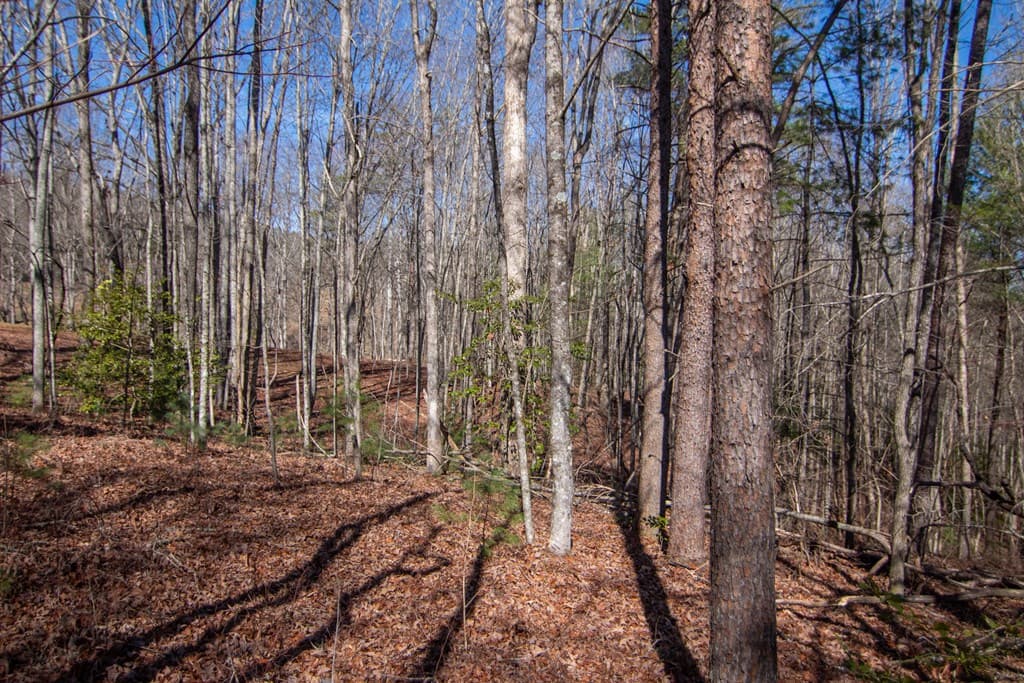 0 Meredith Drive, Turtletown TN 37391 - Photo