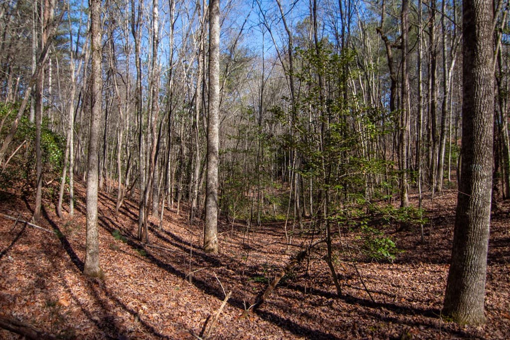0 Meredith Drive, Turtletown TN 37391 - Photo