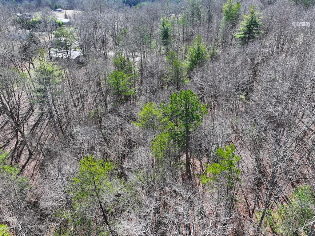 0 Meredith Drive, Turtletown TN 37391 - Photo