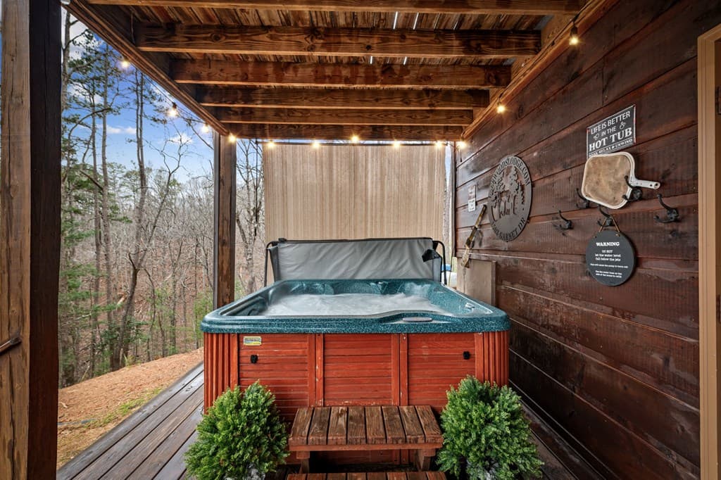 1503 Garnet Drive, Ellijay GA 30540 - Photo