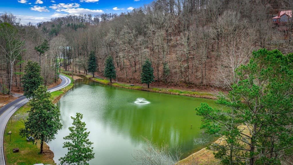 1503 Garnet Drive, Ellijay GA 30540 - Photo