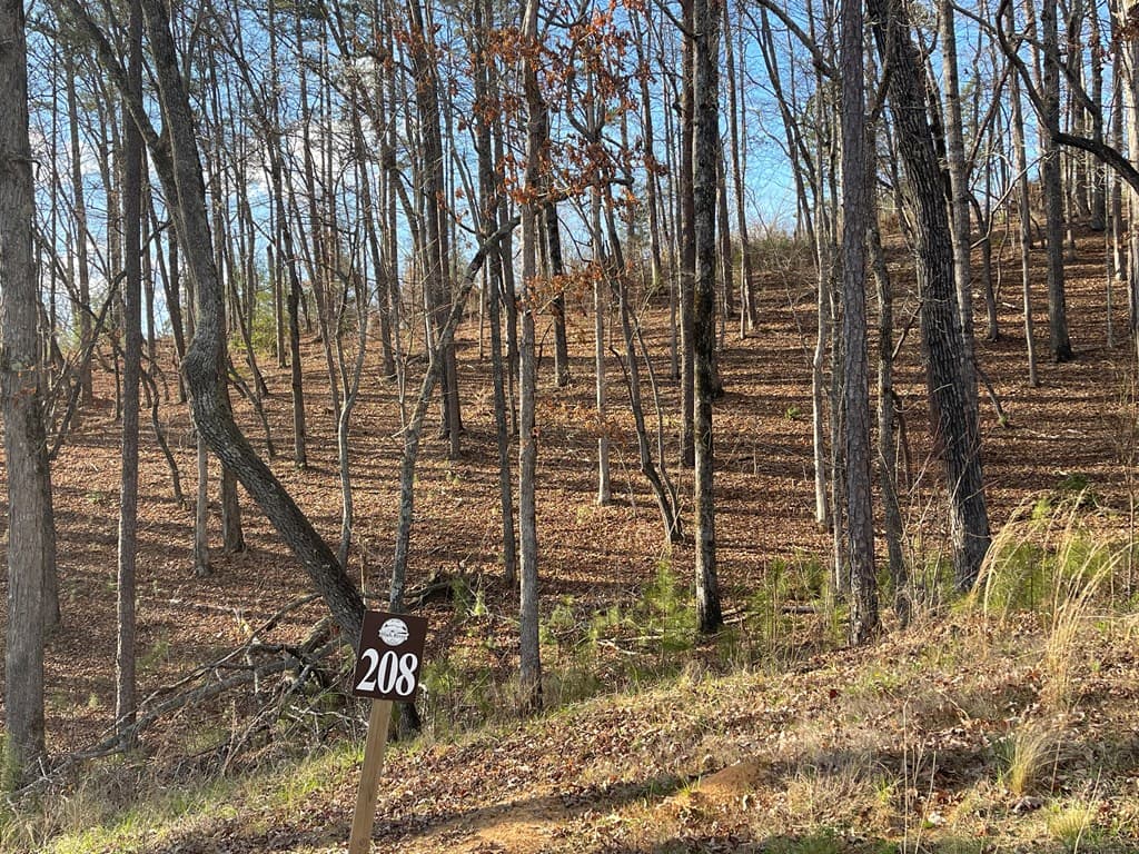 Lot# 208 Pinnacle Drive, Ellijay GA 30540 - Photo
