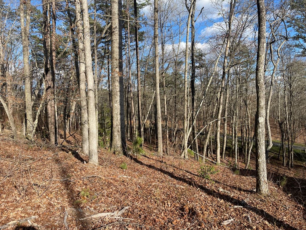 Lot# 208 Pinnacle Drive, Ellijay GA 30540 - Photo