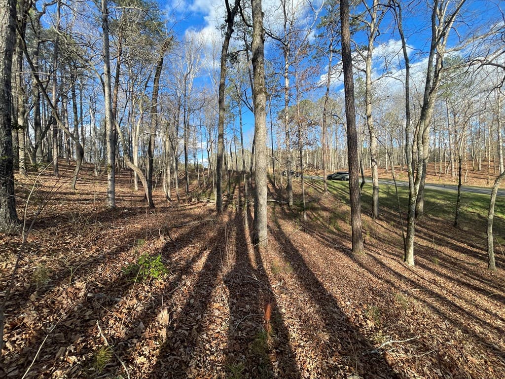 Lot# 208 Pinnacle Drive, Ellijay GA 30540 - Photo