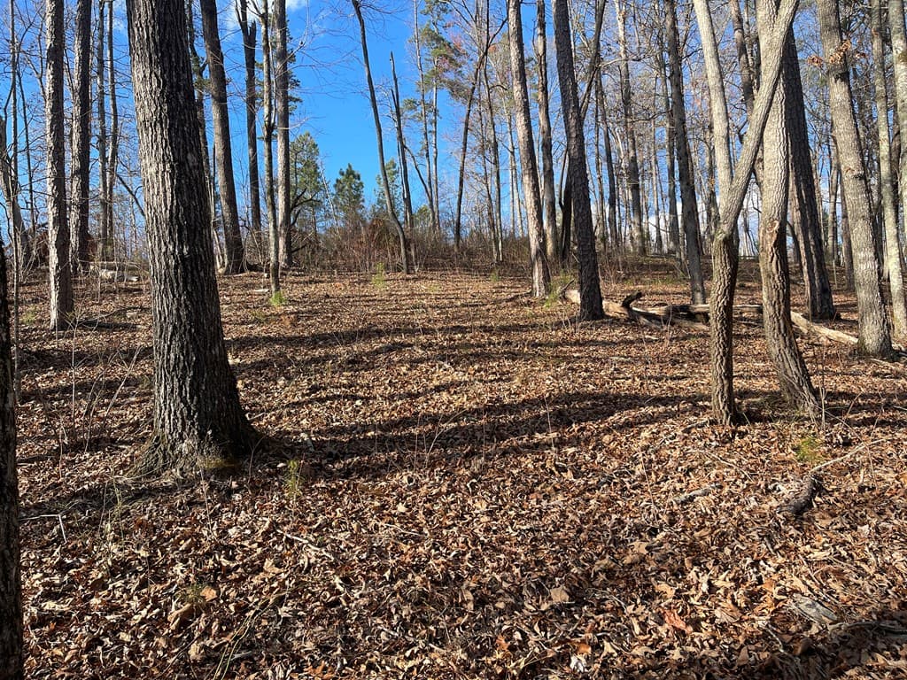 Lot# 208 Pinnacle Drive, Ellijay GA 30540 - Photo
