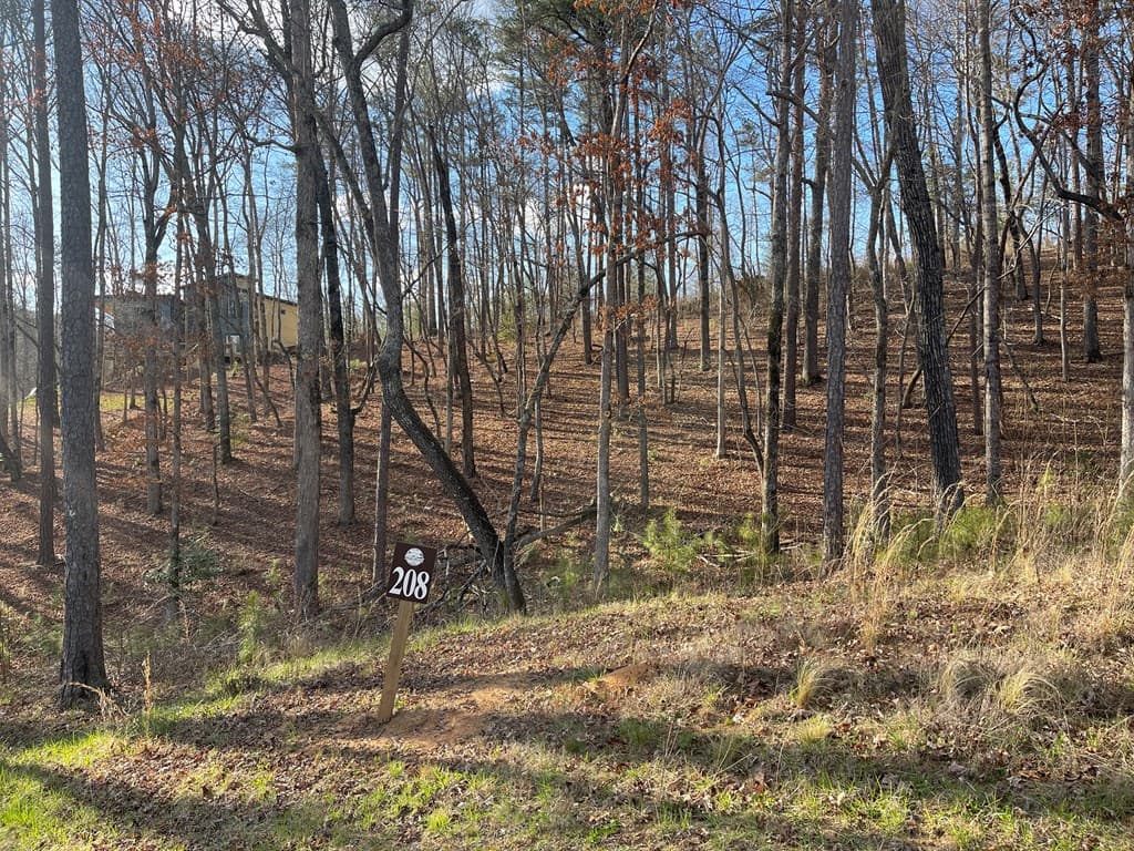 Lot# 208 Pinnacle Drive, Ellijay GA 30540 - Photo