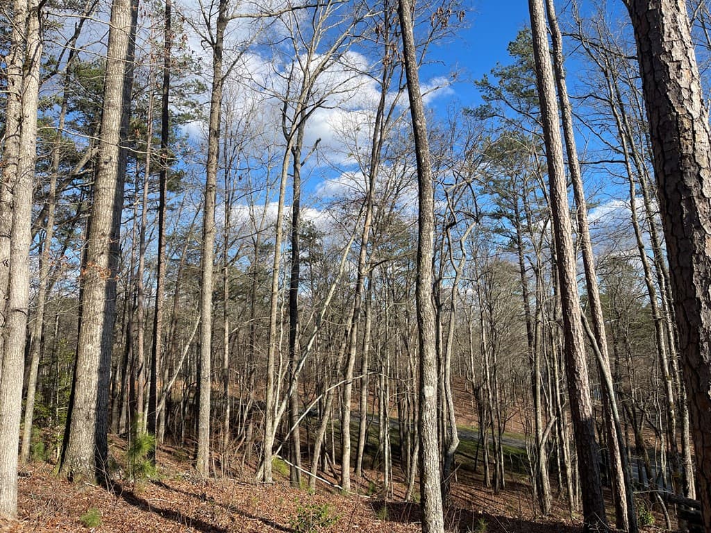Lot# 208 Pinnacle Drive, Ellijay GA 30540 - Photo