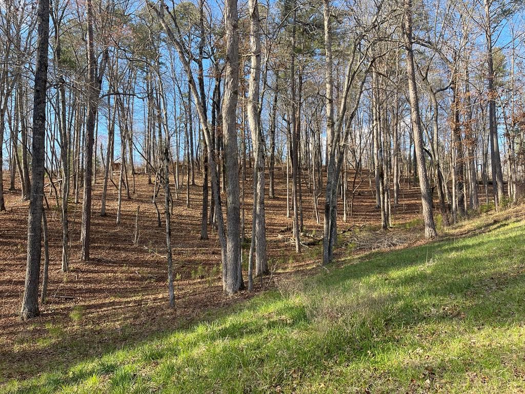 Lot# 208 Pinnacle Drive, Ellijay GA 30540 - Primary photo