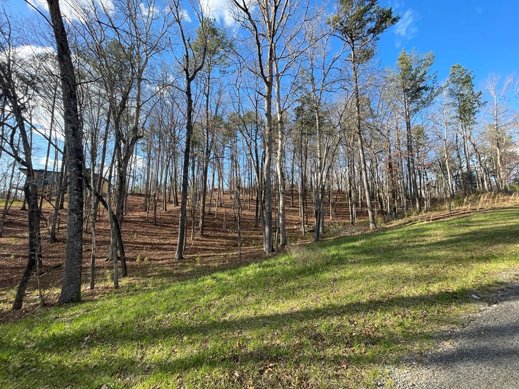 Lot# 208 Pinnacle Drive, Ellijay GA 30540 - Photo