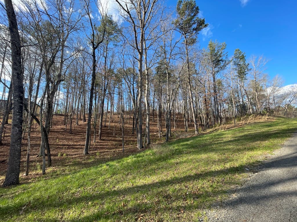 Lot# 208 Pinnacle Drive, Ellijay GA 30540 - Photo