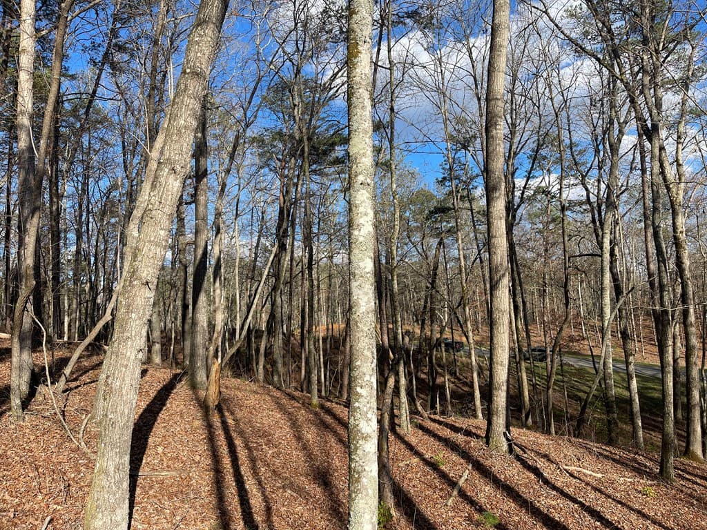 Lot# 208 Pinnacle Drive, Ellijay GA 30540 - Photo