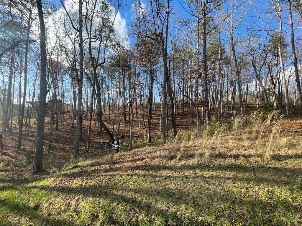 Lot# 208 Pinnacle Drive, Ellijay GA 30540 - Photo
