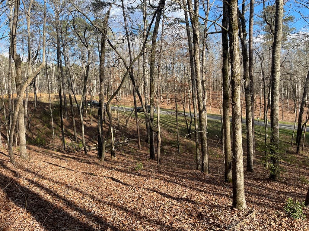 Lot# 208 Pinnacle Drive, Ellijay GA 30540 - Photo