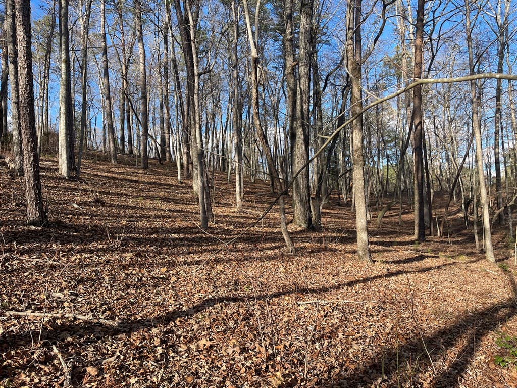 Lot# 208 Pinnacle Drive, Ellijay GA 30540 - Photo