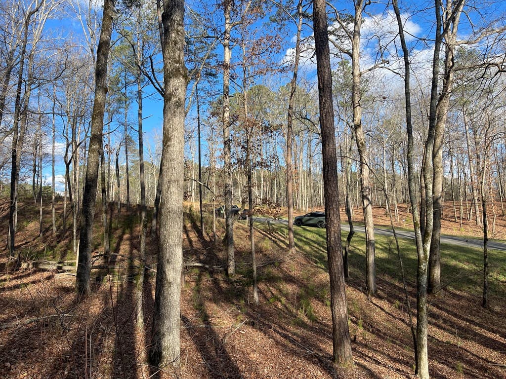 Lot# 208 Pinnacle Drive, Ellijay GA 30540 - Photo