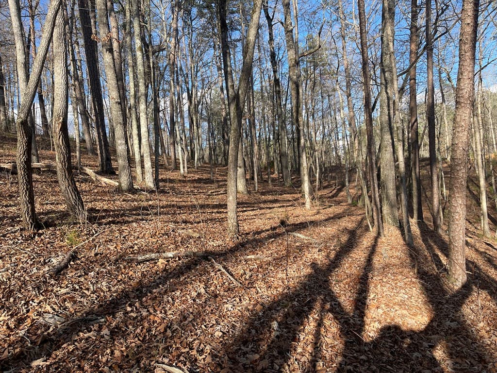 Lot# 208 Pinnacle Drive, Ellijay GA 30540 - Photo