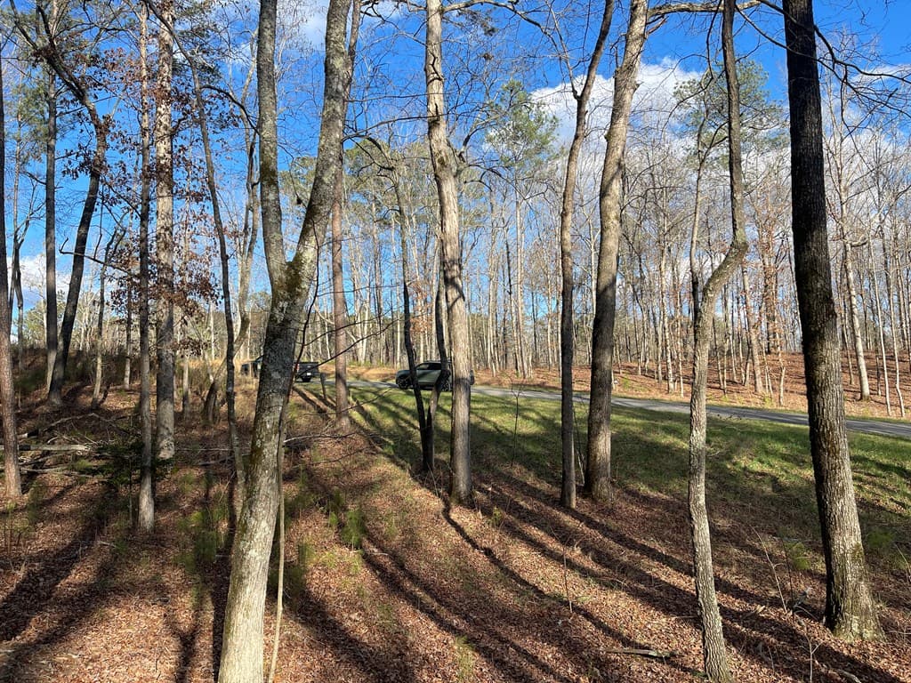Lot# 208 Pinnacle Drive, Ellijay GA 30540 - Photo
