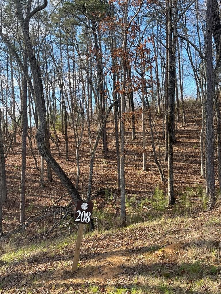 Lot# 208 Pinnacle Drive, Ellijay GA 30540 - Photo