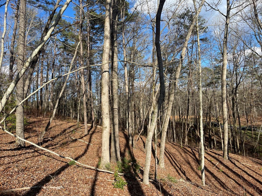 Lot# 208 Pinnacle Drive, Ellijay GA 30540 - Photo