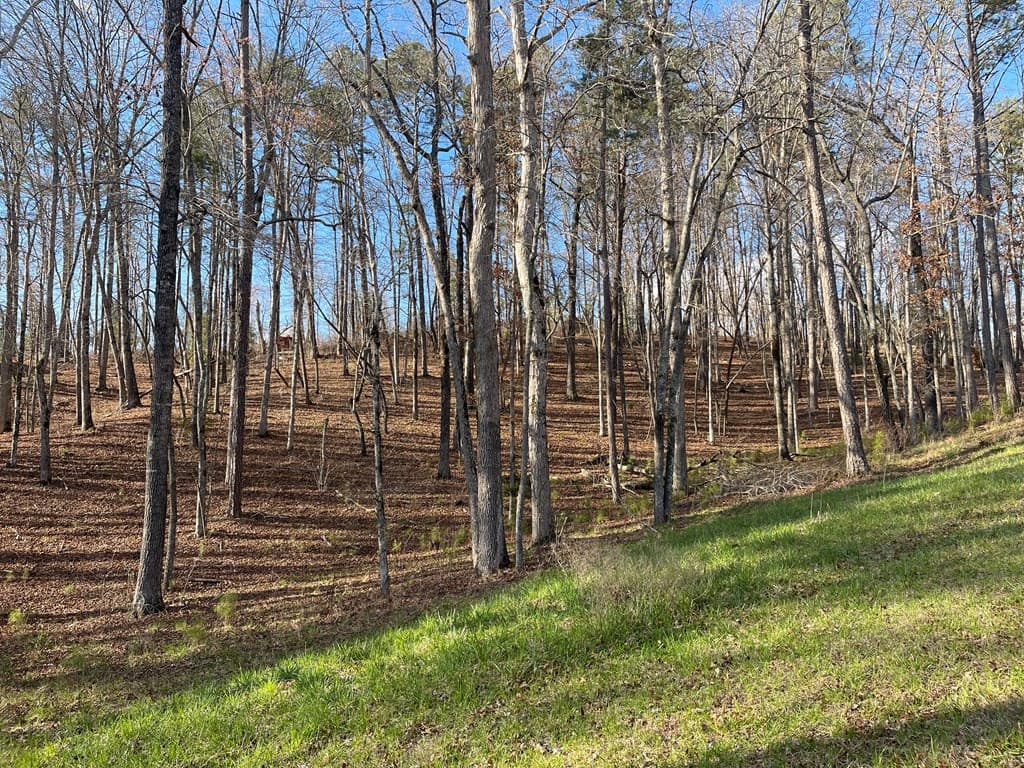 Lot# 208 Pinnacle Drive, Ellijay GA 30540 - Photo