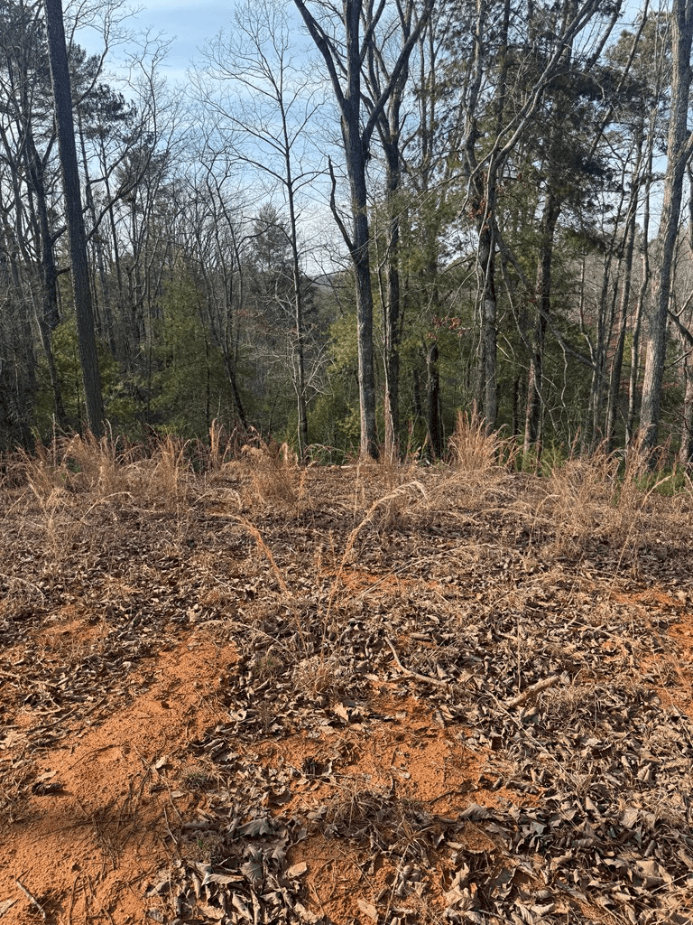 208 Lake Forest Drive, Ellijay GA 30540 - Photo