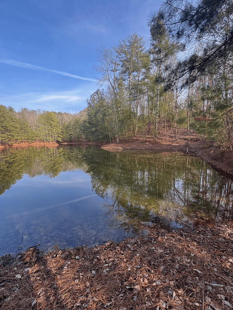 208 Lake Forest Drive, Ellijay GA 30540 - Photo