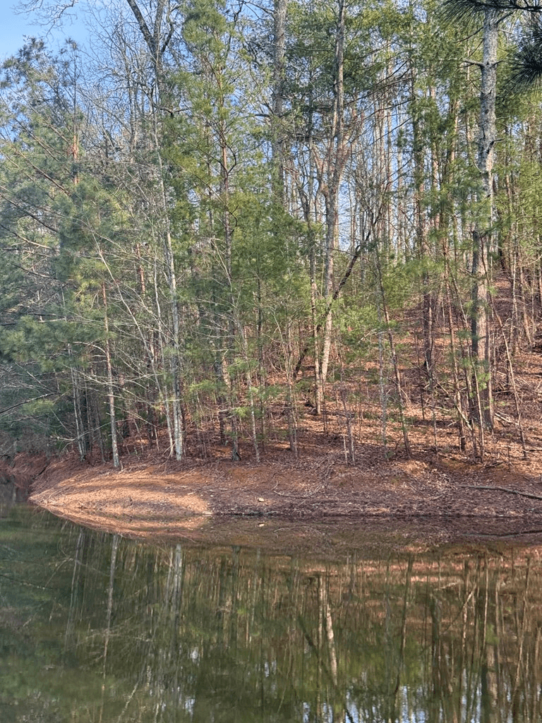 208 Lake Forest Drive, Ellijay GA 30540 - Photo
