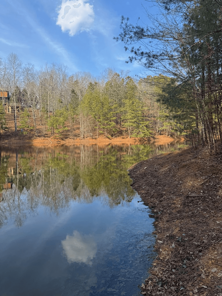 208 Lake Forest Drive, Ellijay GA 30540 - Photo