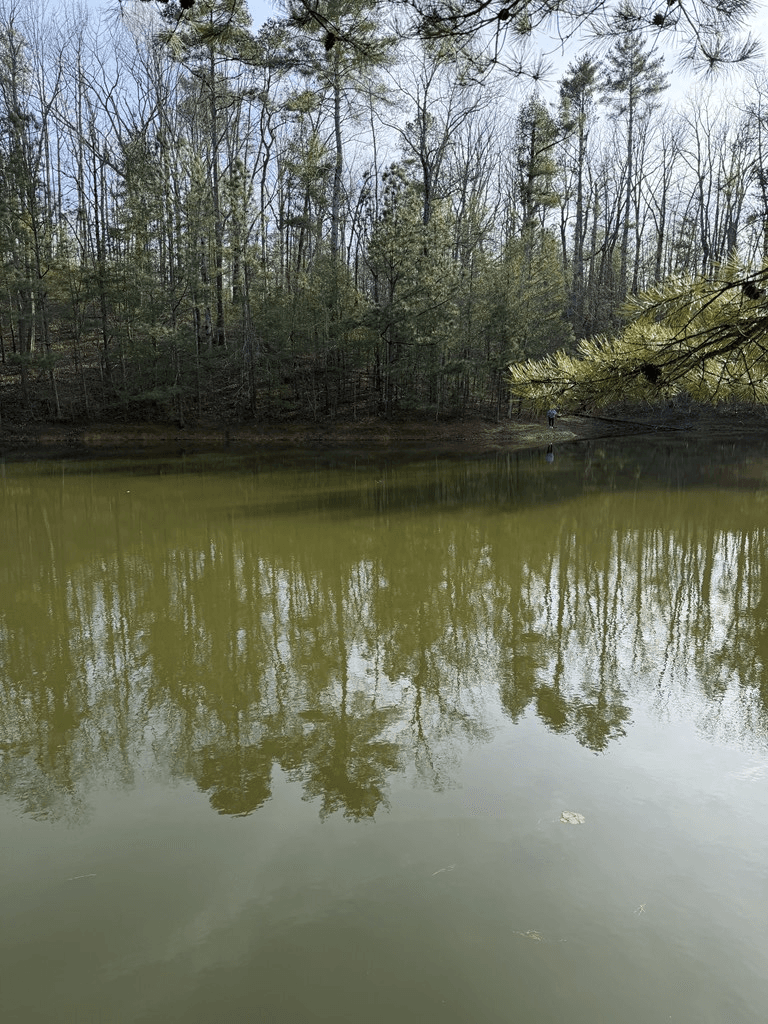208 Lake Forest Drive, Ellijay GA 30540 - Photo