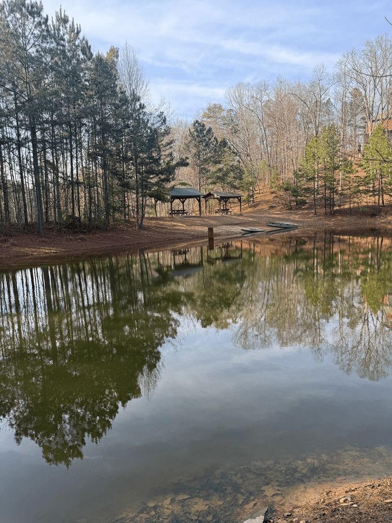 208 Lake Forest Drive, Ellijay GA 30540 - Photo