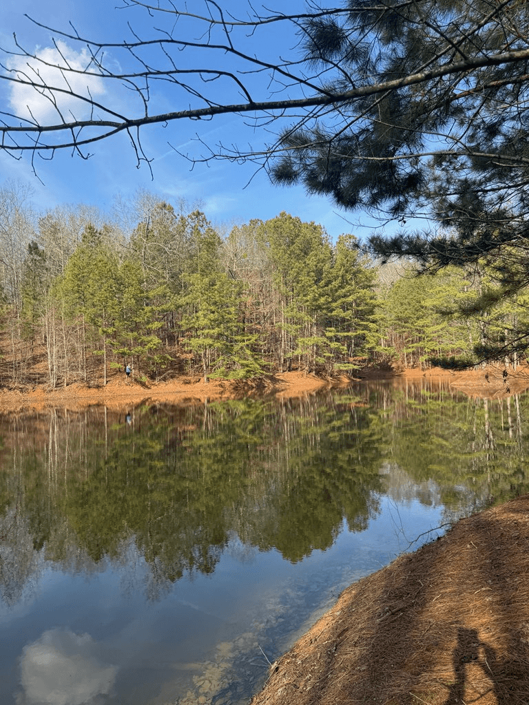 208 Lake Forest Drive, Ellijay GA 30540 - Photo